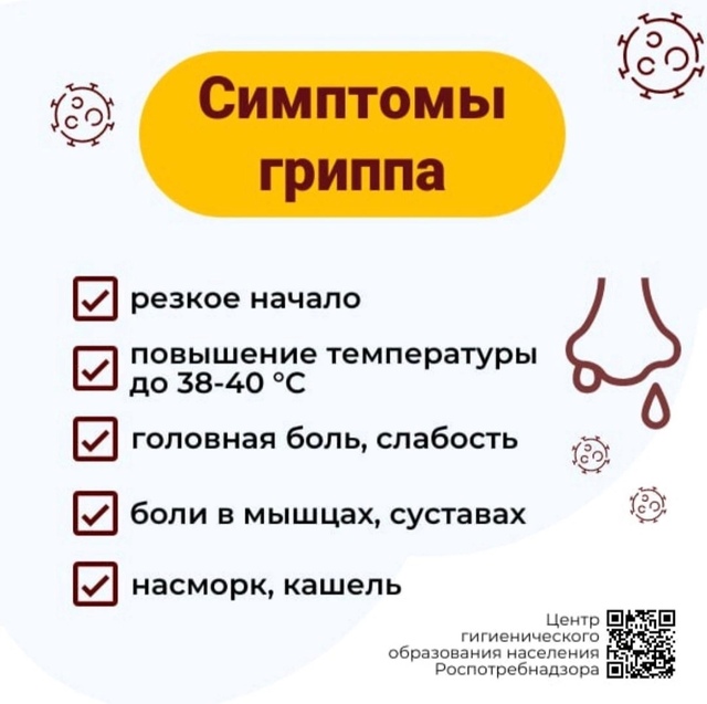 sdfgg121 3