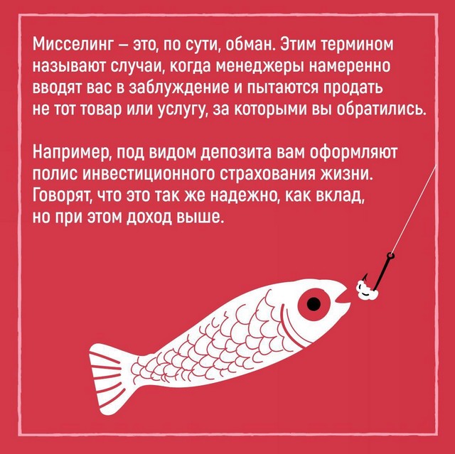 info 1003 02