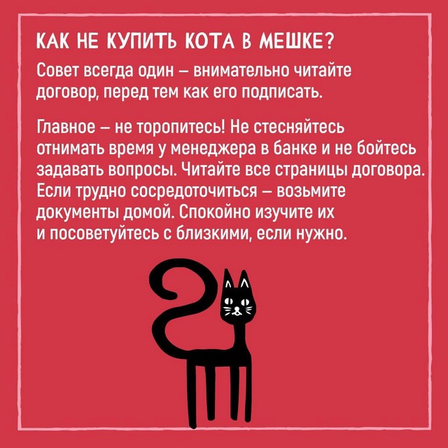 info 1003 06